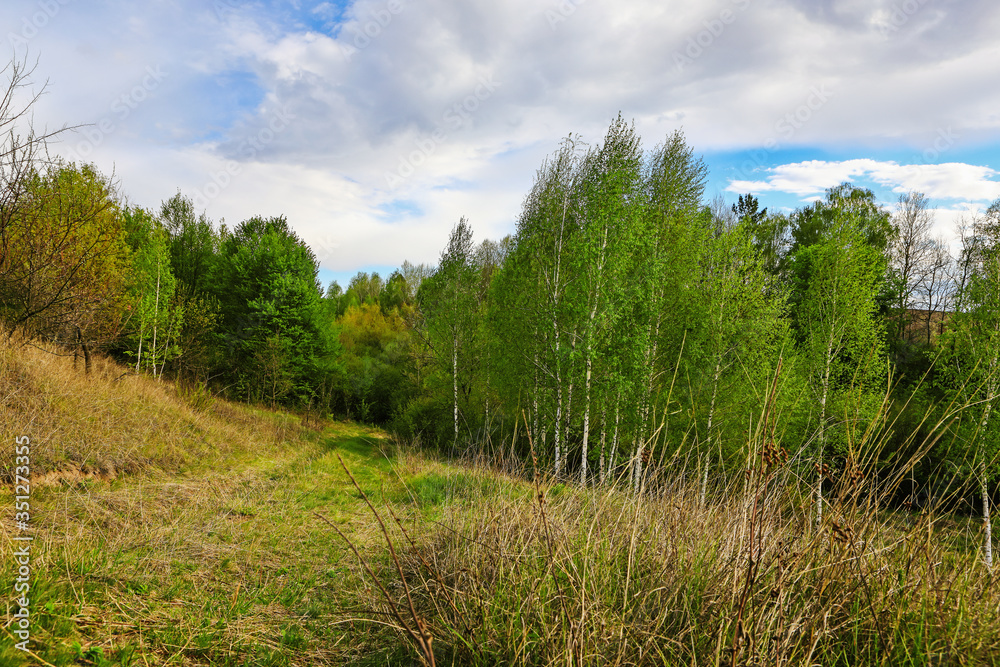 beautiful spring landscape with field beautiful spring landscape with field