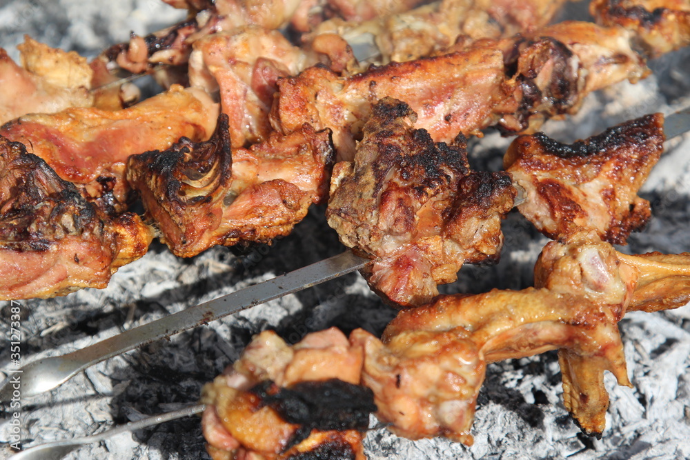 shish kebab on the grill