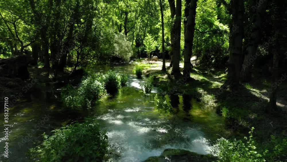 aerial view landscape poplars river in bloom spring aerial view landscape poplars river in bloom spring