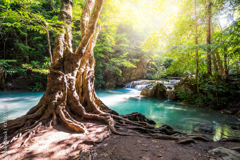 Fototapeta premium Beautiful big tree with roots and sunlight. Waterfall blue emerald water color in Erawan national park. Beautiful nature rock waterfall steps in tropical rainforest at Kanchanaburi province, Thailand