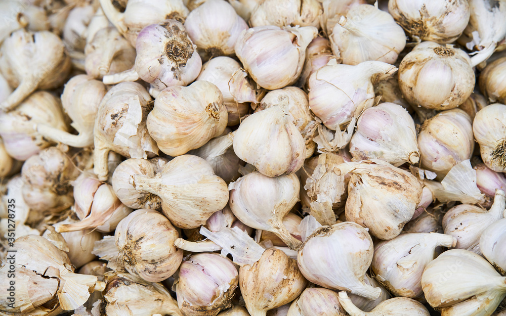 Dry garlics background reflex