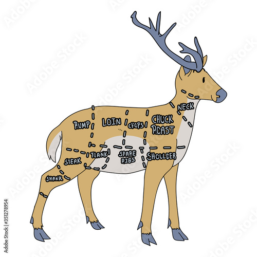 Cute french farmhouse stag butcher chart vector clipart. Hand drawn shabby chic style country farm kitchen. Illustration of venison farm animal livestock ranch graphic. Doe graphic EPS 10. 