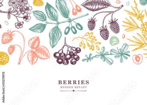 Seasonal berries vector banner in engraved style. Wild berries and flowers frame design. Hand drawing. Vintage forest or orchard plants sketch. Summer berries outline in color
