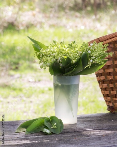 Still life with lily of the valley outdoor