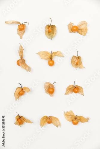 orange physalis berries on a white background