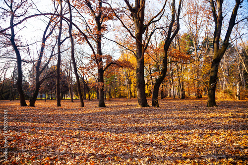 eautiful fall landscape.