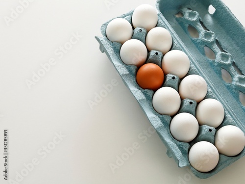 in this farm are all equal with eggs