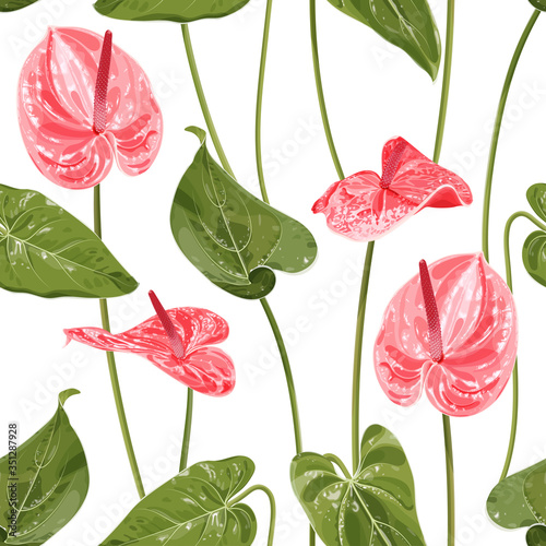 Anthurium. Seamless floral pattern with pink glossy flowers and anthurium leaves. Tropical pattern on a white background. Stock vector illustration.