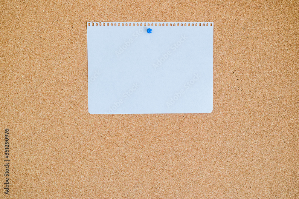 Blank note paper on cork board. Blank note paper on cork board.