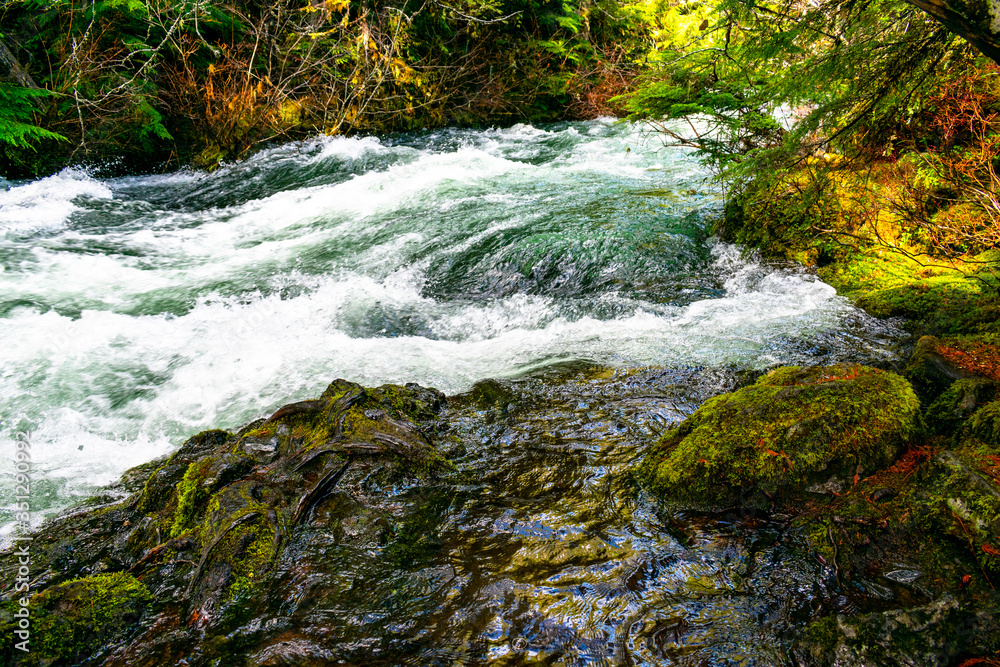 Naklejka premium waterfall in the cascade mountains of oregon