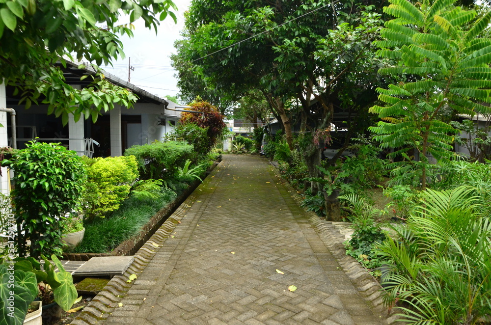 tropical garden with beautiful and unique plants