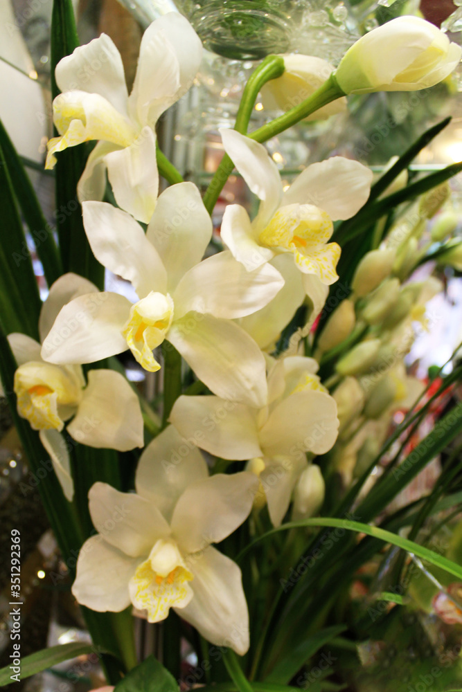 Beautiful flowers. Background. bright colours Beautiful flowers. Background. bright colours