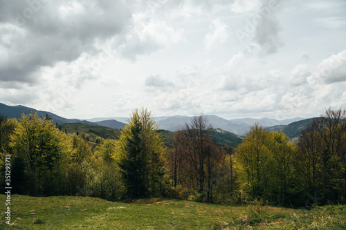 Spring in mountains. Beautiful mountain landscape, deciduous forest and cloudy sky. Nature is waking up