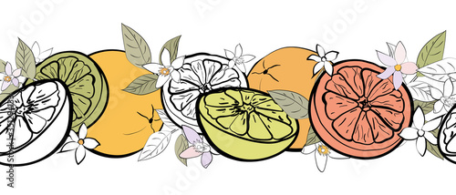 Horizontal seamless border from multicolored citrus fruits, leaves and flowers on white background. Hand drawn. Doodle style. Vector illustration. © Irina
