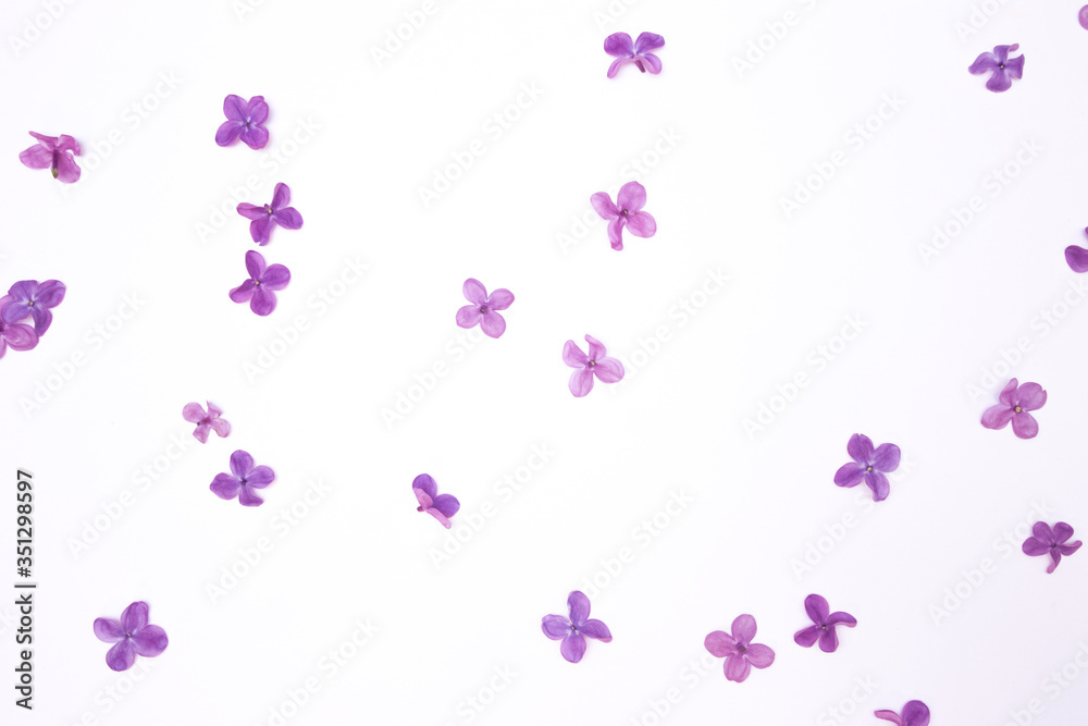 Lilac rhombus violet fresh spring flowers pattern on the white background isolated. Horizontal image