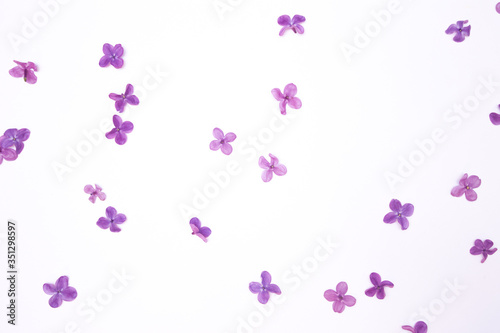 Lilac rhombus violet fresh spring flowers pattern on the white background isolated. Horizontal image