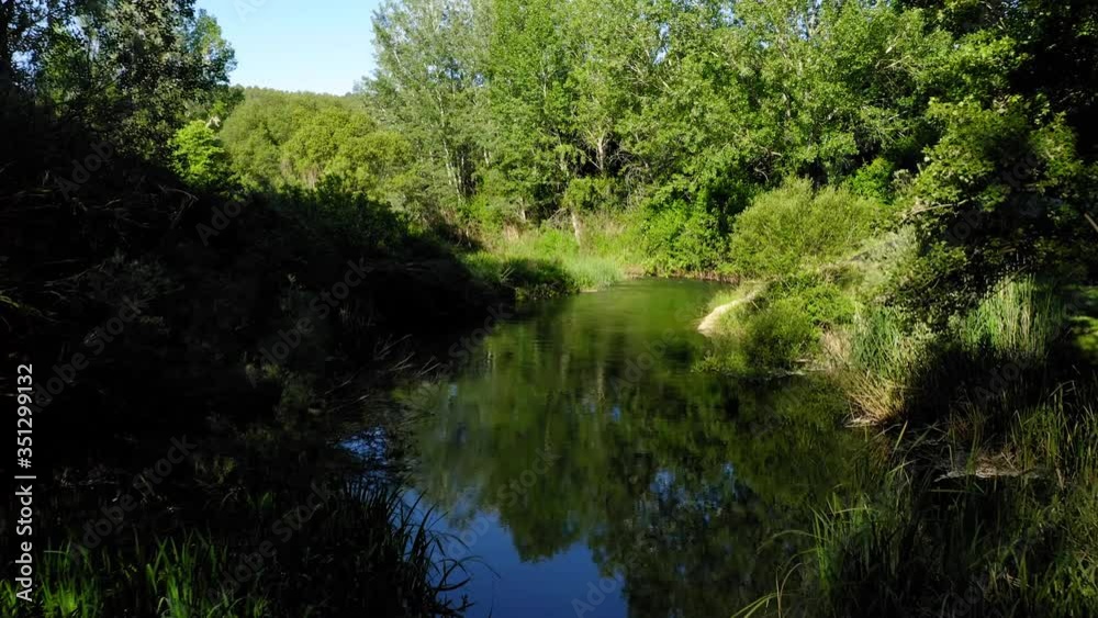 aerial view landscape poplars river in bloom spring aerial view landscape poplars river in bloom spring