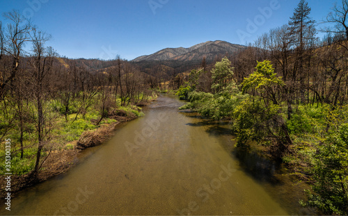 Burnt vegetation after the 2018 Carr Wildfire in Northern California photo