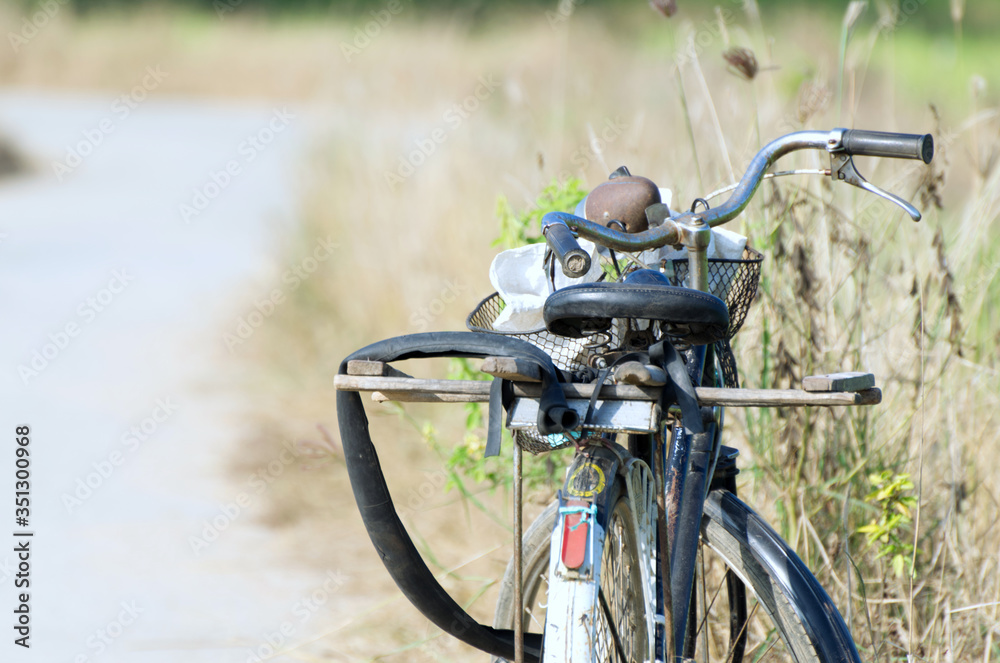 bicycle on the road