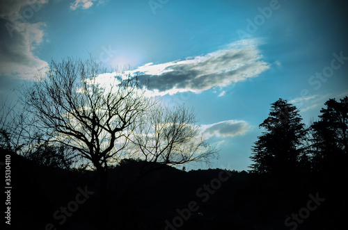 Siluetas del atardecer