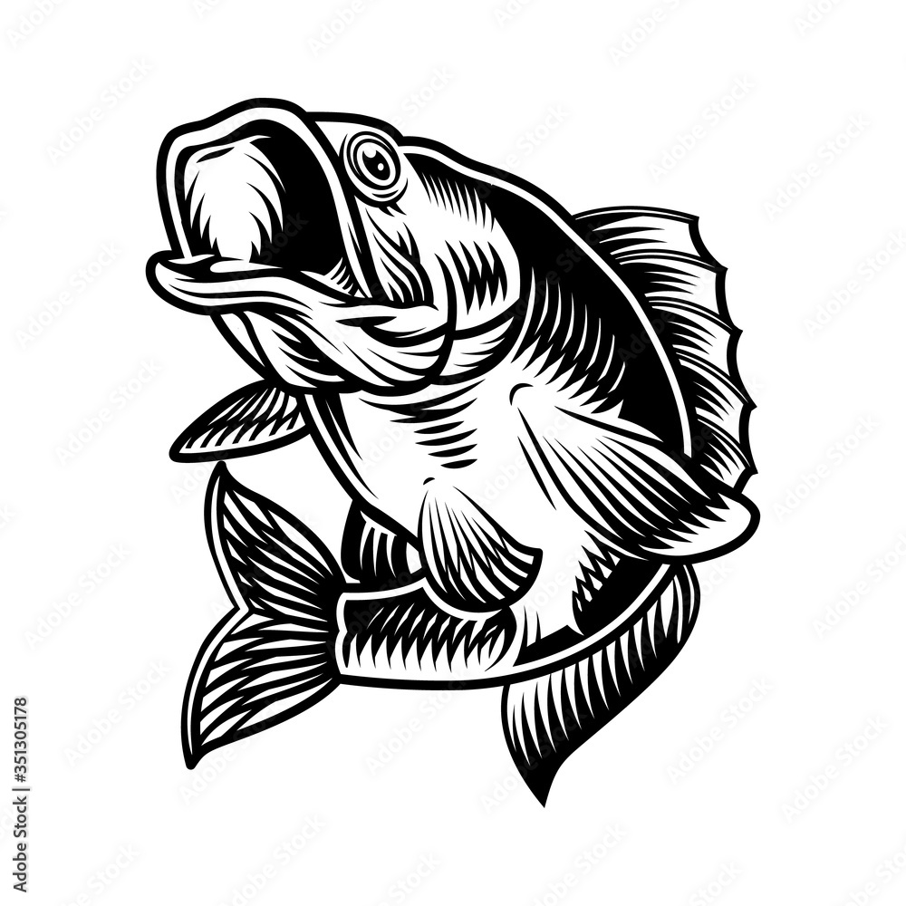 Largemouth bass fish vintage concept