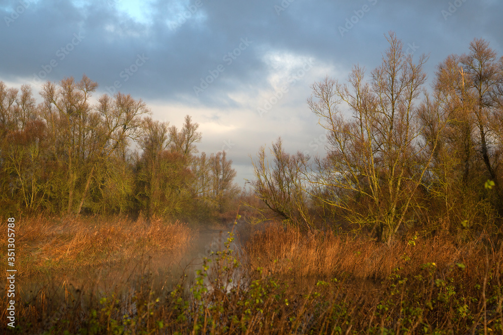 Dutch Biesbosch National Park in early morning light