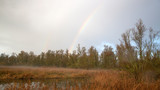 Dutch Biesbosch National Park with rainbow in early morning light
