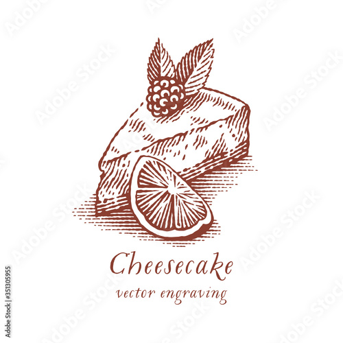 Сheesecake. Hand drawn engraving style illustrations.