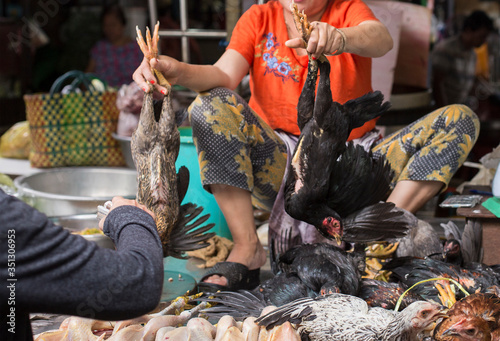Live and dead chicken stall at Kandal market in Phnom Penh in Cambodia