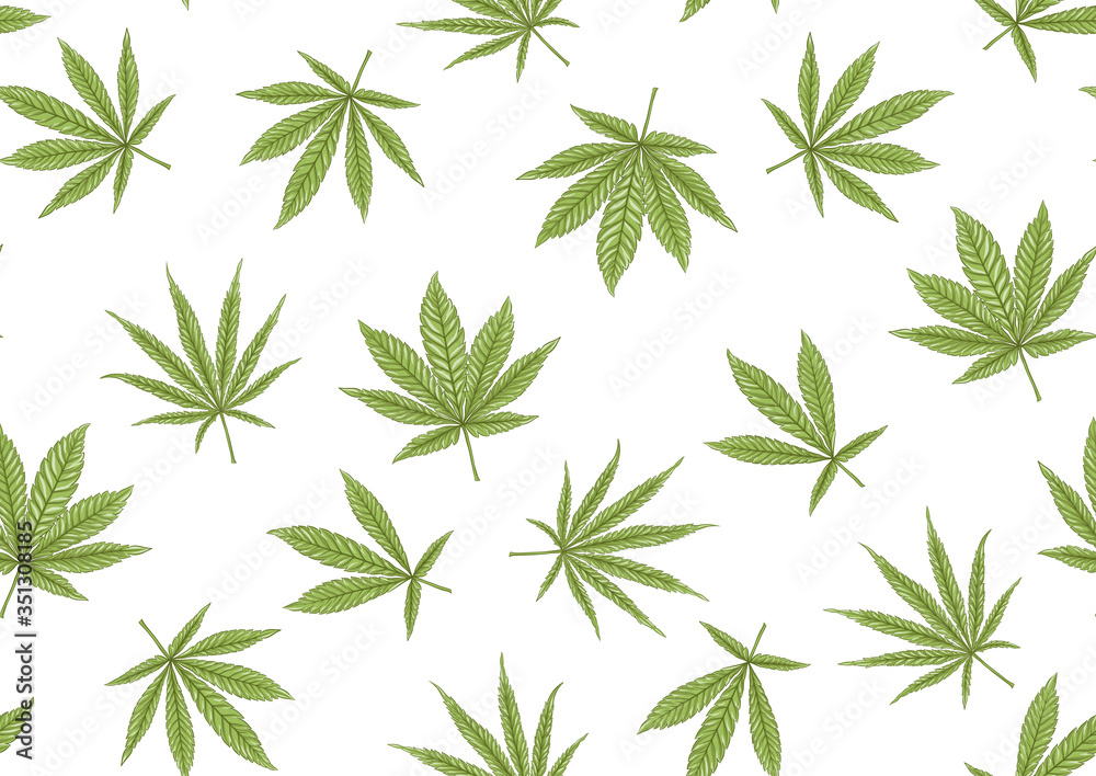 Cannabis leaves seamless pattern, background. Vector illustration in green colors Isolated on white background.