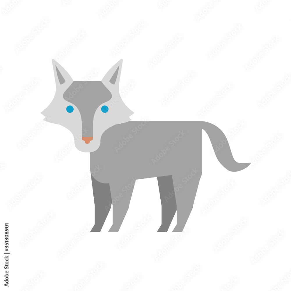 vector illustration of a wolf