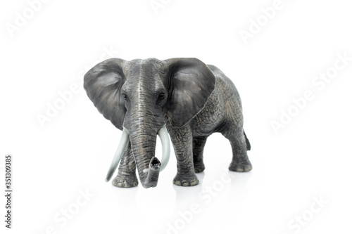 Portrait of an elephant isolated on the white background.