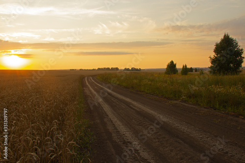 Road through the field