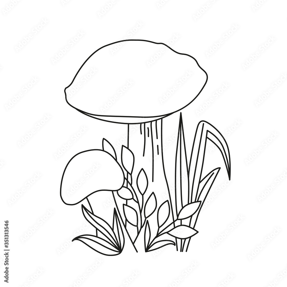 Black and white image of forest mushroom leccinum with leaves and grass. Black and white image of forest mushroom leccinum with leaves and grass.