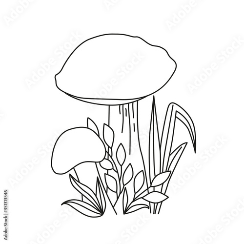Black and white image of forest mushroom leccinum  with leaves and grass.