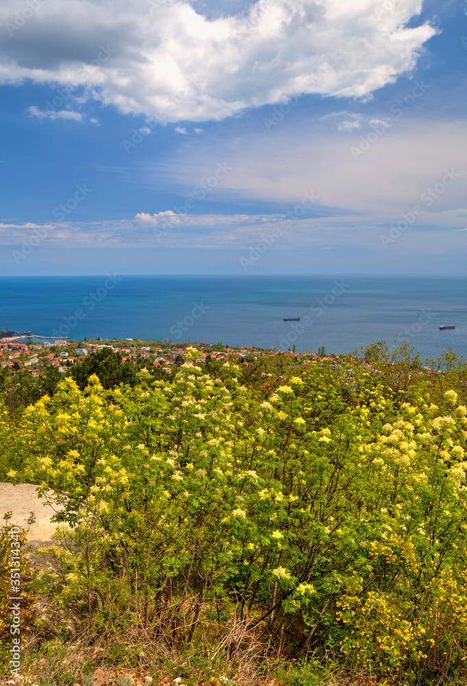 Beautiful landscape with blue sky, sea and fresh green forest Beautiful landscape with blue sky, sea and fresh green forest