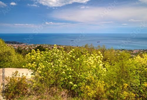 Beautiful landscape with blue sky, sea and fresh green forest