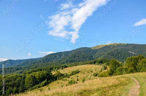 Landscape of bright summer day in Carpathian mountains, panorama of Carpathians, blue sky, trees and green hills, beautiful view © Dmytro
