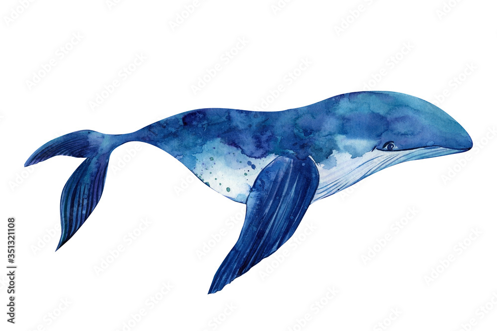 Underwater animal art. whale on a white isolated background, hand-drawn watercolor, sea animals illustration Stock Illustration | Adobe Stock Underwater animal art. whale on a white isolated background, hand-drawn watercolor, sea animals illustration Stock Illustration | Adobe Stock