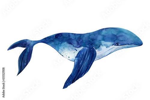 Underwater animal art. whale on a white isolated background, hand-drawn watercolor, sea animals illustration