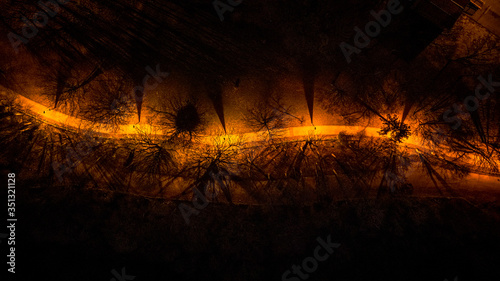 Aerial view of path through trees illumitated at night, UK. photo