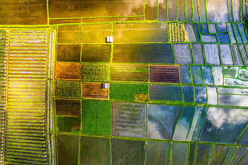 Aerial view of the traditional agriculture at Penarungan, Bali, Indonesia. Most of the fields in the image are rice fields, known to maintain high level of water and therefore reflecting a sun light.