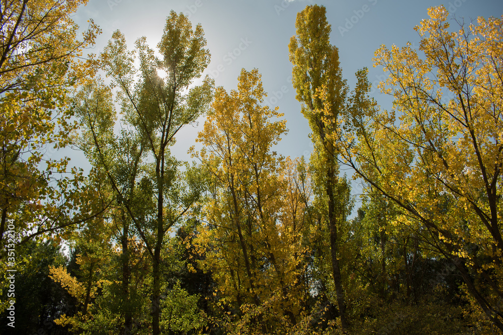 Beautiful autumn - Cuenca - Spain