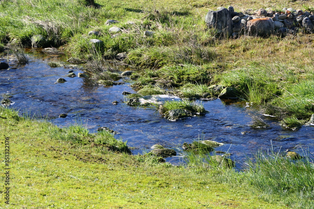 Intact environment: clear water in a shimmering blue stream splashes naturally through the meadow Intact environment: clear water in a shimmering blue stream splashes naturally through the meadow