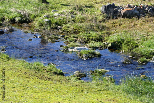 Intact environment: clear water in a shimmering blue stream splashes naturally through the meadow