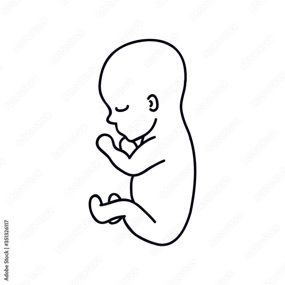 Plakat fetus doodle icon, vector illustration