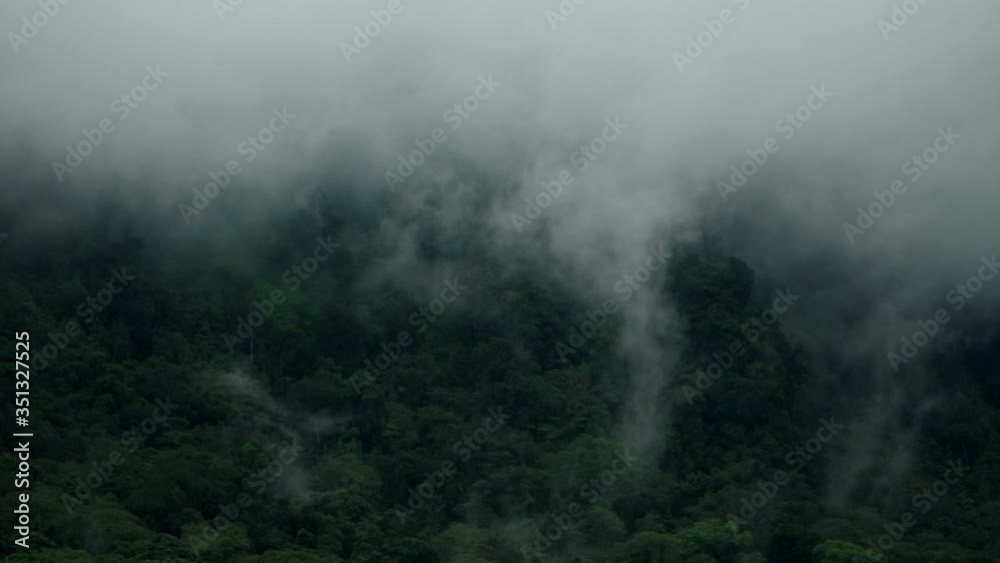 scene of tropical rainforest and mountains in fog after rain scene of tropical rainforest and mountains in fog after rain