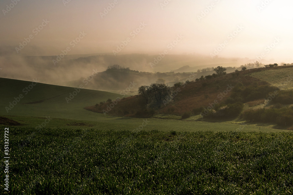 Obraz premium Moravian Tuscany, near Kyjov. Beautiful rolling landscape with morning mist. On the right a small draw with low bushes and trees. In the background, the landscape disappears in the rising fog.