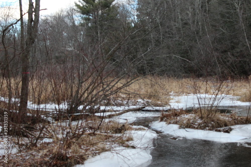 snow and grass landscape