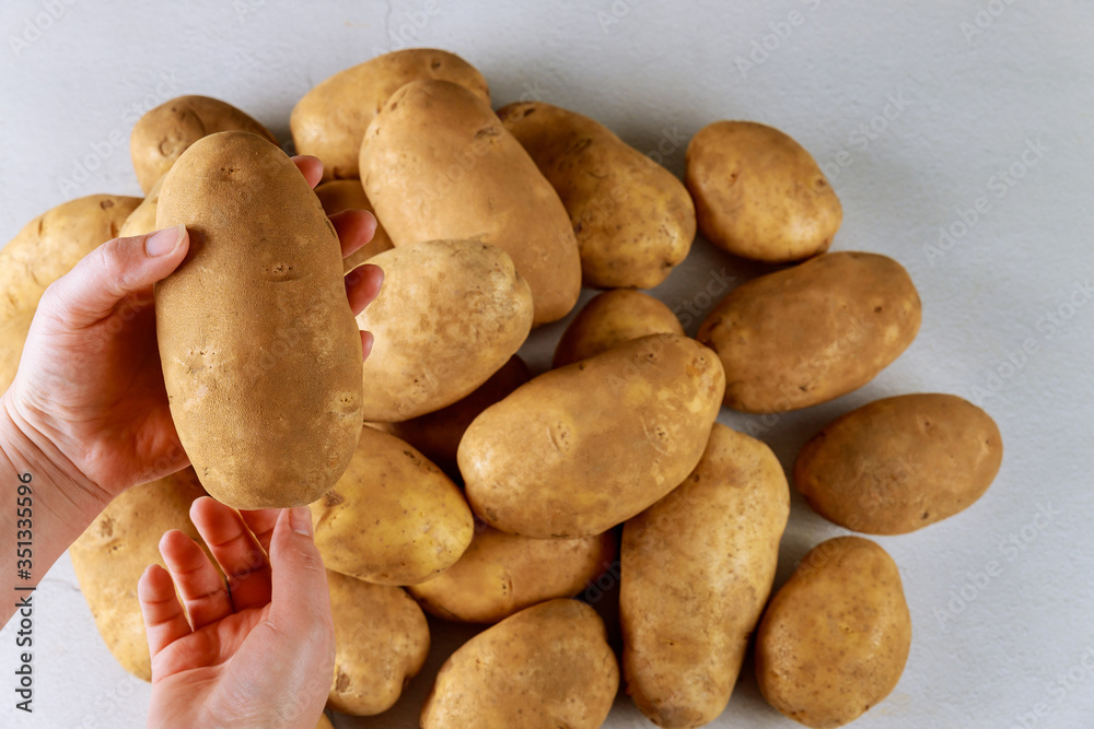 Obraz premium Organic farm potato in hands of woman.